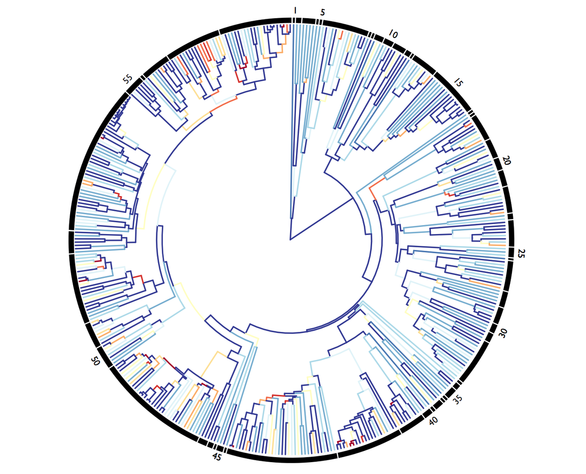 Chromosomes and speciation revisited